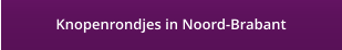 Knopenrondjes in Noord-Brabant