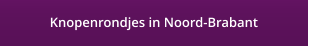 Knopenrondjes in Noord-Brabant