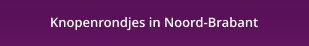 Knopenrondjes in Noord-Brabant