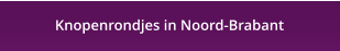 Knopenrondjes in Noord-Brabant