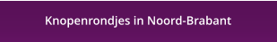 Knopenrondjes in Noord-Brabant
